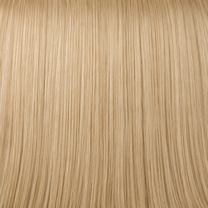 24" Straight Clip In Hair Extension - Light Golden Blonde